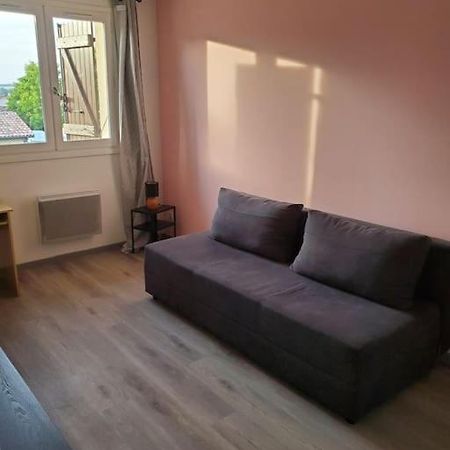 Appartement Moderne Et Equipe LʼIsle-Jourdain Zewnętrze zdjęcie